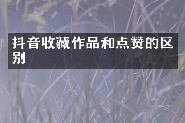 抖音收藏作品和点赞的区别