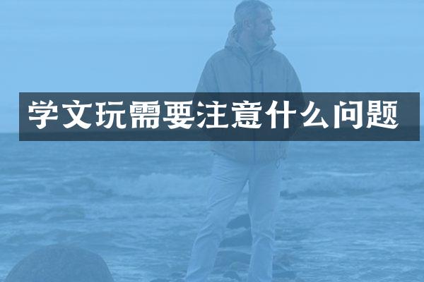 学文玩需要注意什么问题