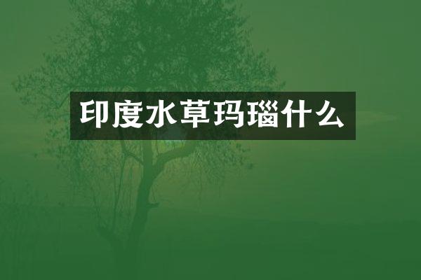 印度水草玛瑙什么