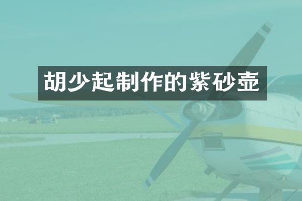 胡少起制作的紫砂壶