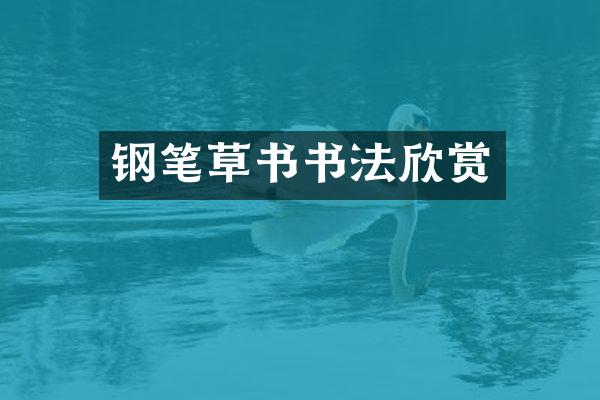 钢笔草书书法欣赏