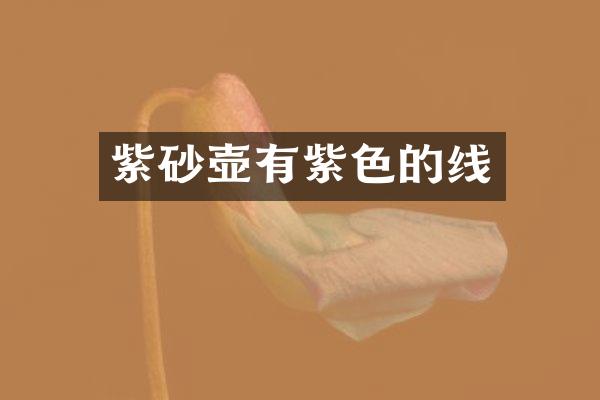 紫砂壶有紫色的线
