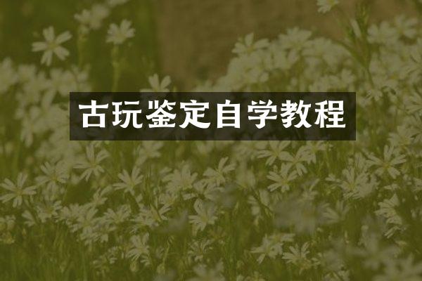 古玩鉴定自学教程