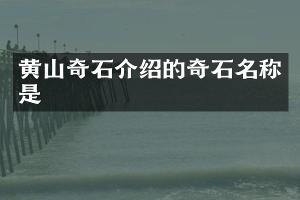 黄山奇石介绍的奇石名称是