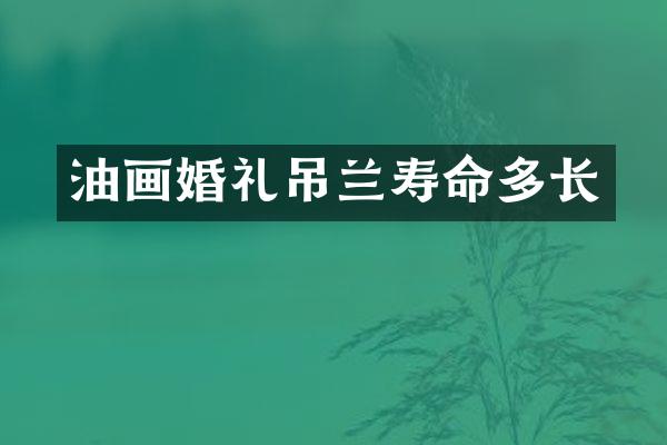油画婚礼吊兰寿命多长