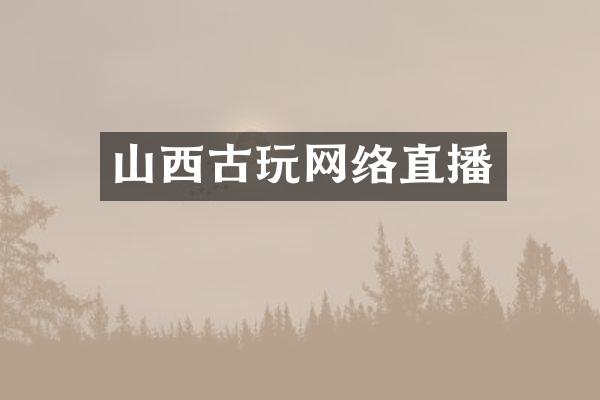 山西古玩网络直播
