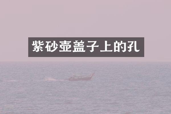 紫砂壶盖子上的孔