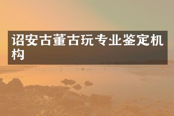 诏安古董古玩专业鉴定机构