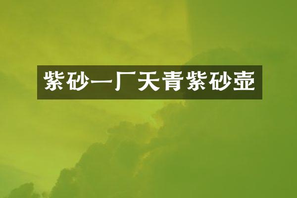 紫砂一厂天青紫砂壶