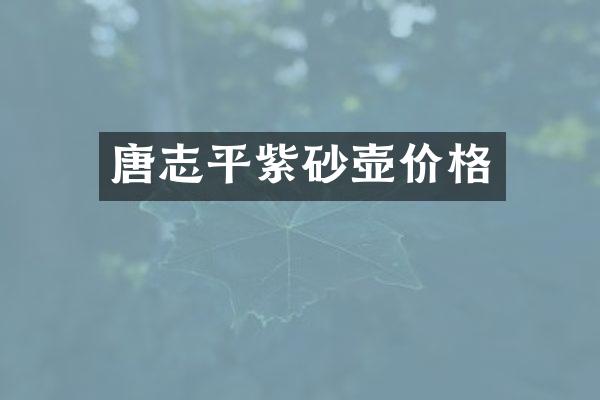 唐志平紫砂壶价格