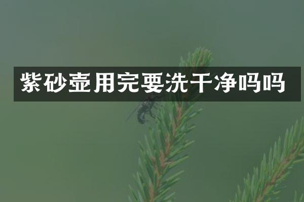 紫砂壶用完要洗干净吗吗