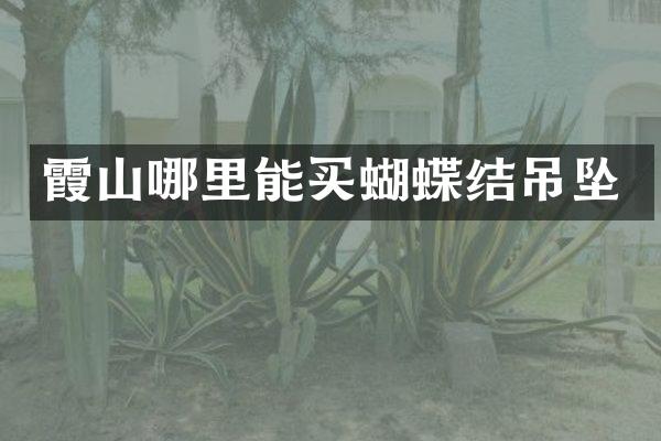 霞山哪里能买蝴蝶结吊坠