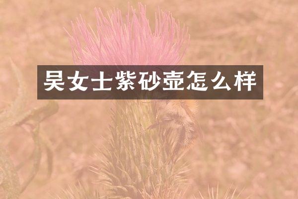 吴女士紫砂壶怎么样