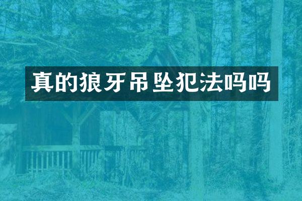 真的狼牙吊坠犯法吗吗