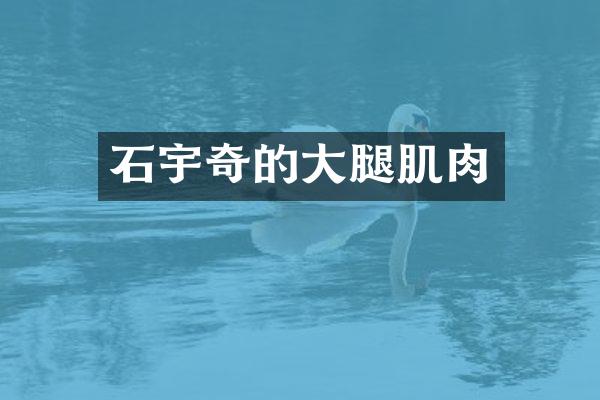 石宇奇的大腿肌肉