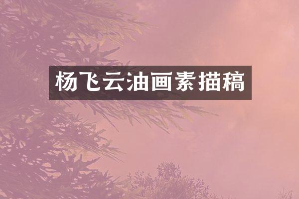杨飞云油画素描稿