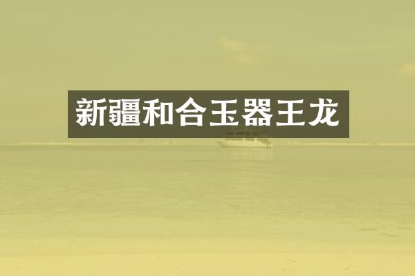 新疆和合玉器王龙