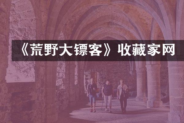 《荒野大镖客》收藏家网