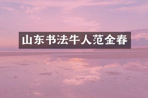 山东书法牛人范金春