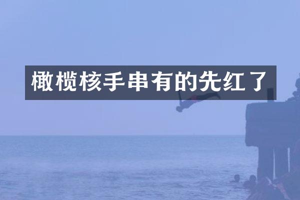 橄榄核手串有的先红了