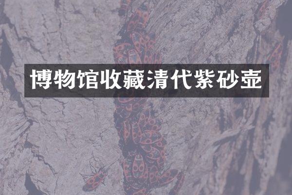 博物馆收藏清代紫砂壶