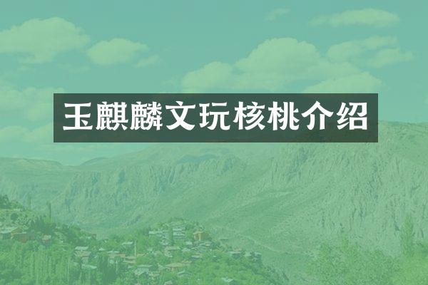 玉麒麟文玩核桃介绍