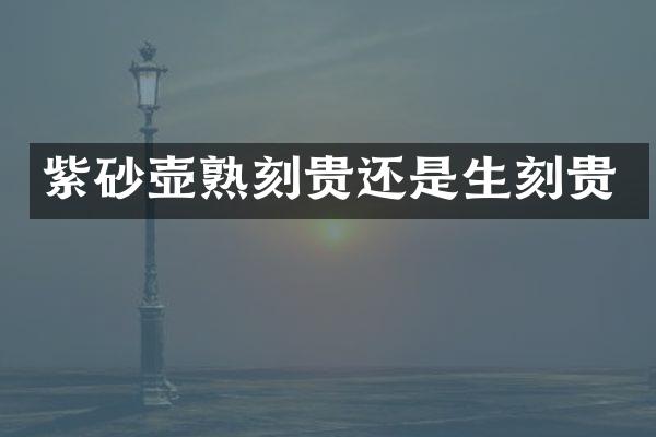 紫砂壶熟刻贵还是生刻贵