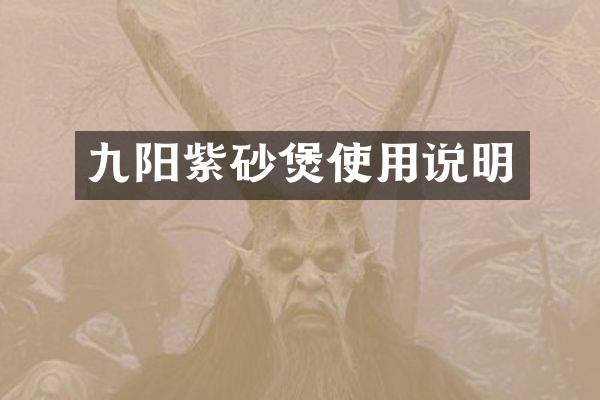 九阳紫砂煲使用说明