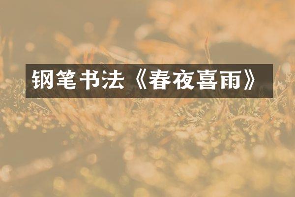 钢笔书法《春夜喜雨》