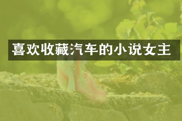 喜欢收藏汽车的小说女主