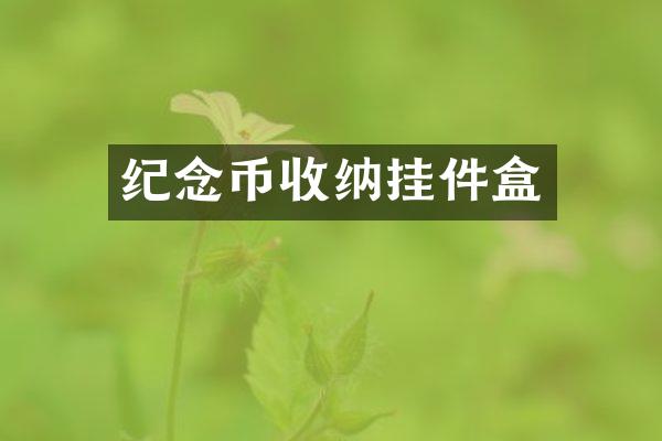 纪念币收纳挂件盒