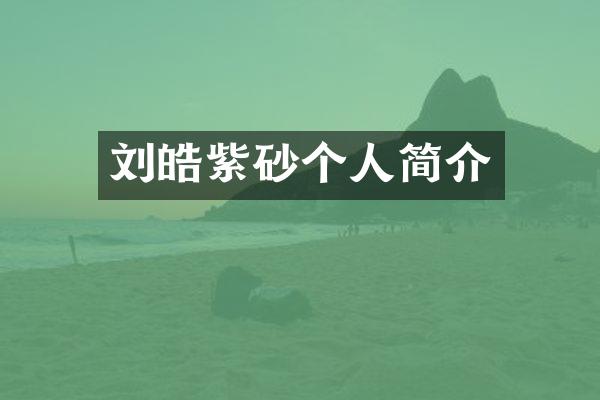 刘皓紫砂个人简介