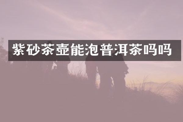 紫砂茶壶能泡普洱茶吗吗