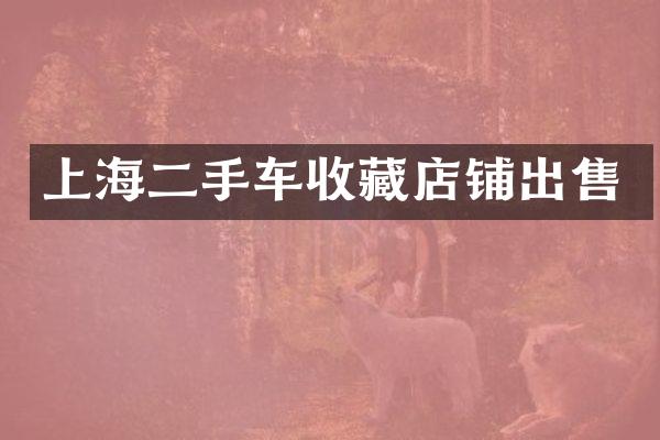 上海二手车收藏店铺出售