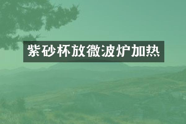 紫砂杯放微波炉加热