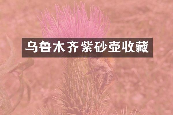 乌鲁木齐紫砂壶收藏