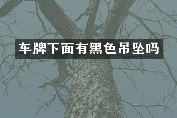 车牌下面有黑色吊坠吗