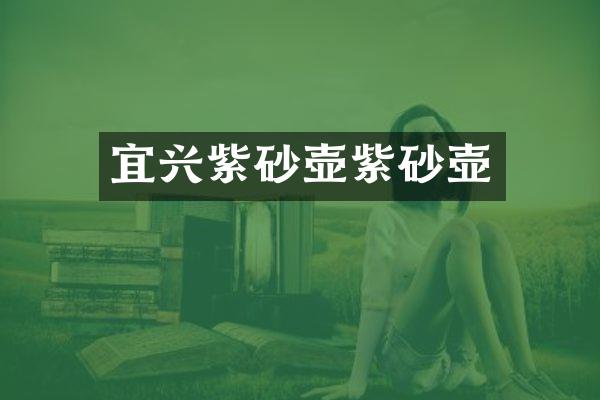 宜兴紫砂壶紫砂壶