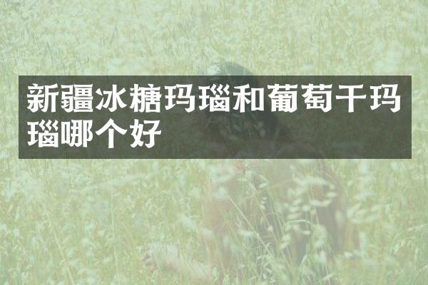 新疆冰糖玛瑙和葡萄干玛瑙哪个好