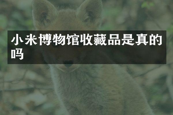 小米博物馆收藏品是真的吗