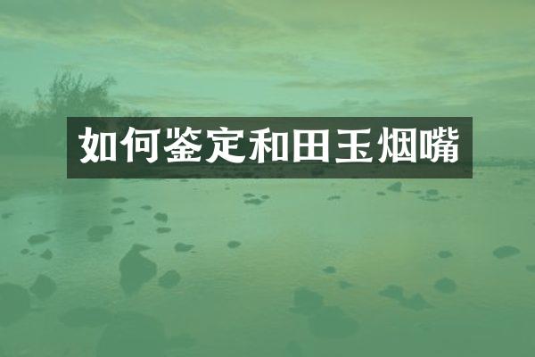 如何鉴定和田玉烟嘴