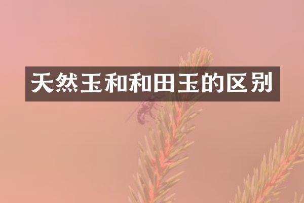 天然玉和和田玉的区别