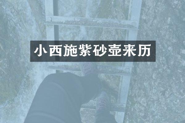 小西施紫砂壶来历