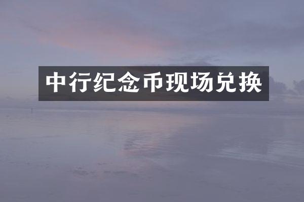 中行纪念币现场兑换