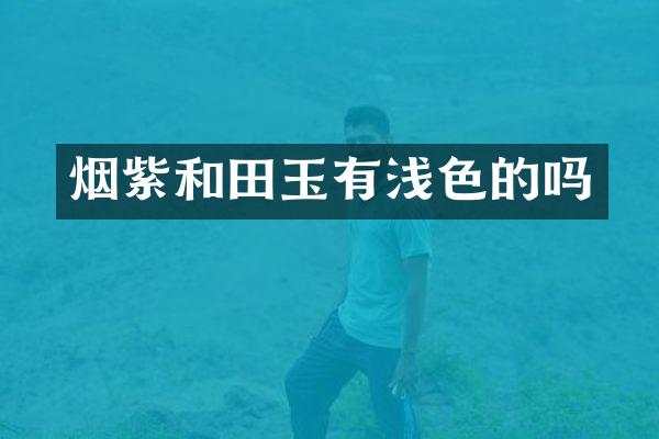 烟紫和田玉有浅色的吗
