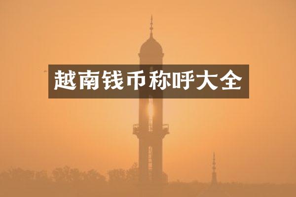 越南钱币称呼大全