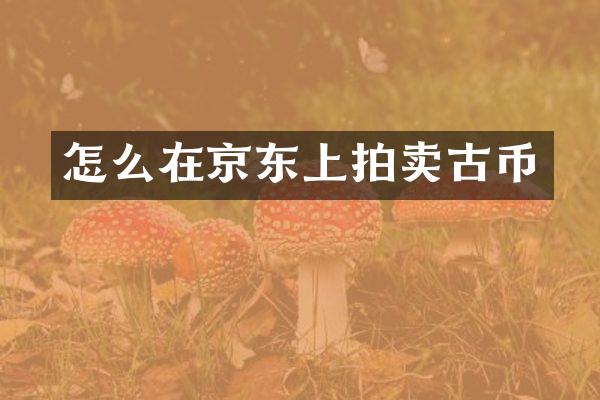 怎么在京东上拍卖古币