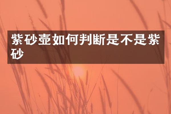 紫砂壶如何判断是不是紫砂