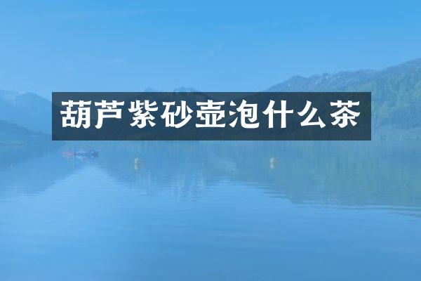 葫芦紫砂壶泡什么茶