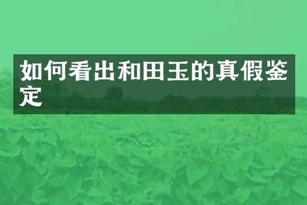 如何看出和田玉的真假鉴定